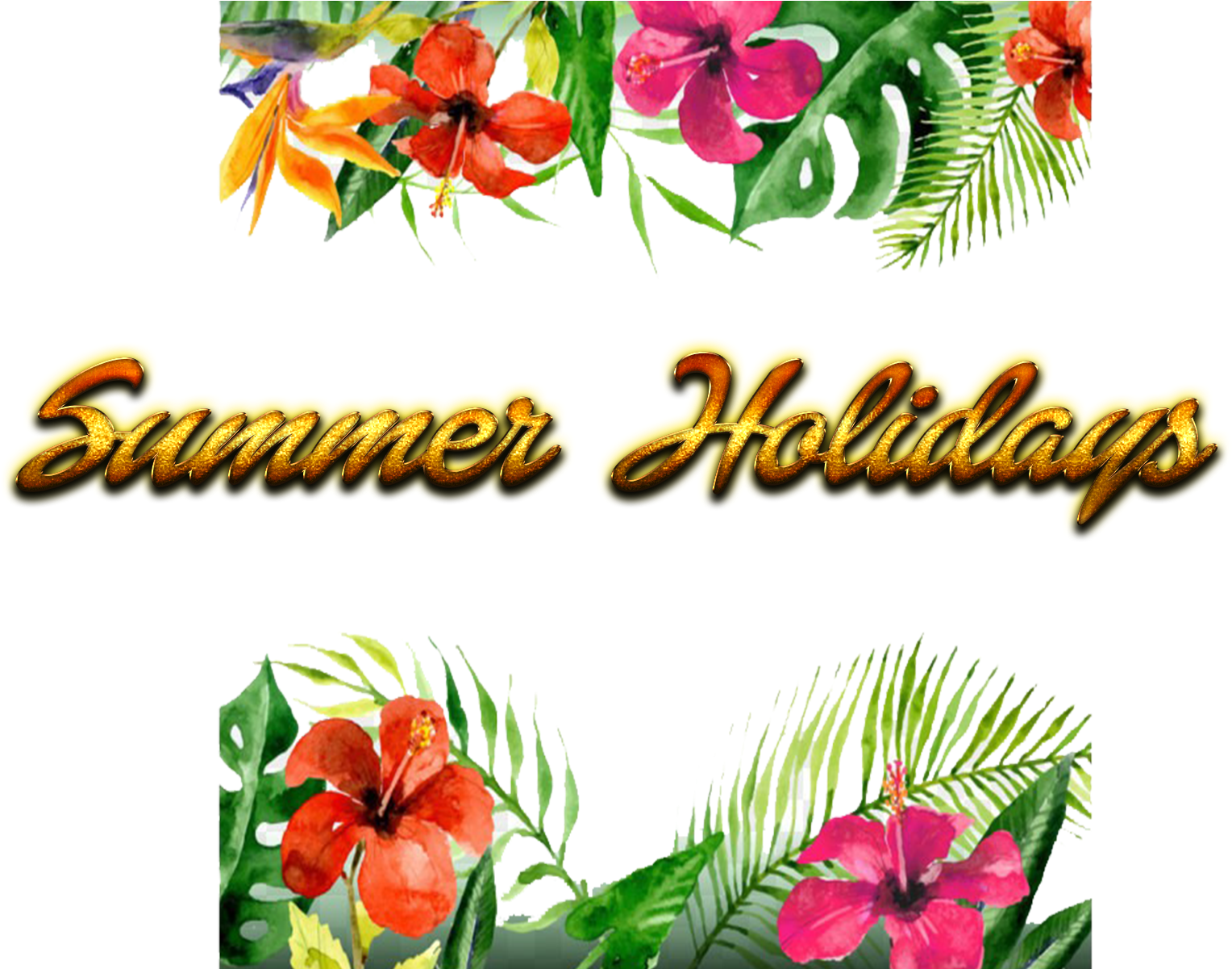 Summer Holidays Tropical Flowers PNG