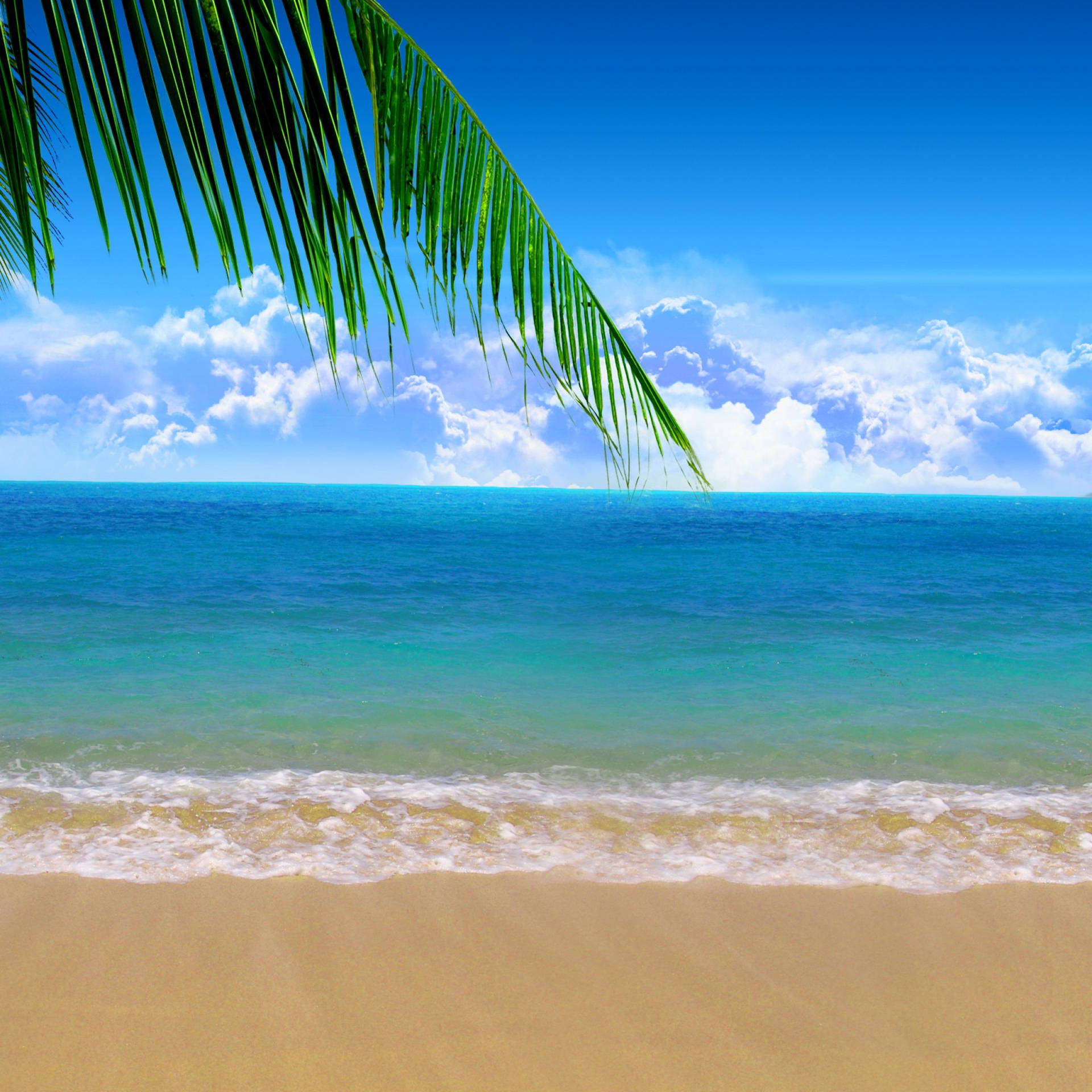 Enjoy The Sunny Summer With An Ipad Wallpaper