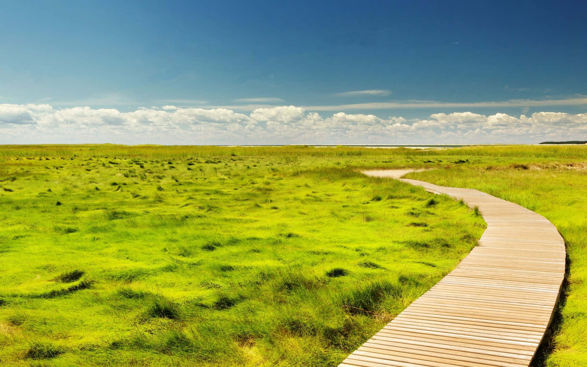 Paisajede Verano Con Encantadora Vista Del Campo. Fondo de pantalla