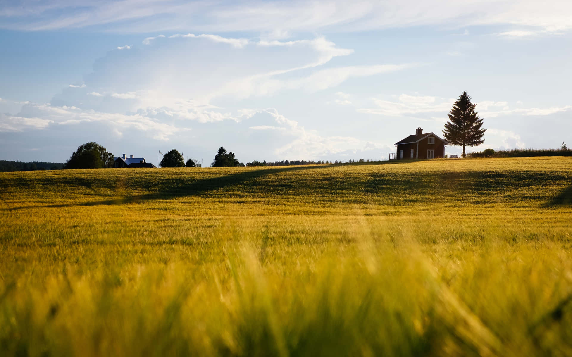 Caption: Breathtaking Summer Landscape Wallpaper