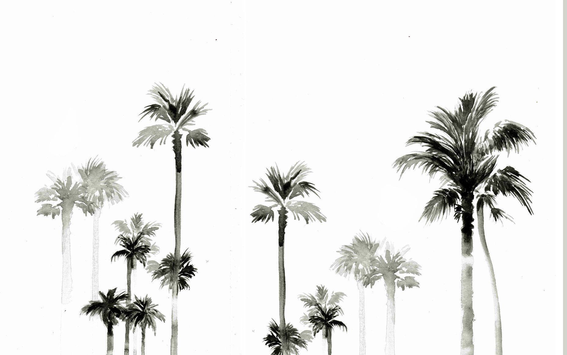 Et sort og hvidt maleri af palmer Wallpaper
