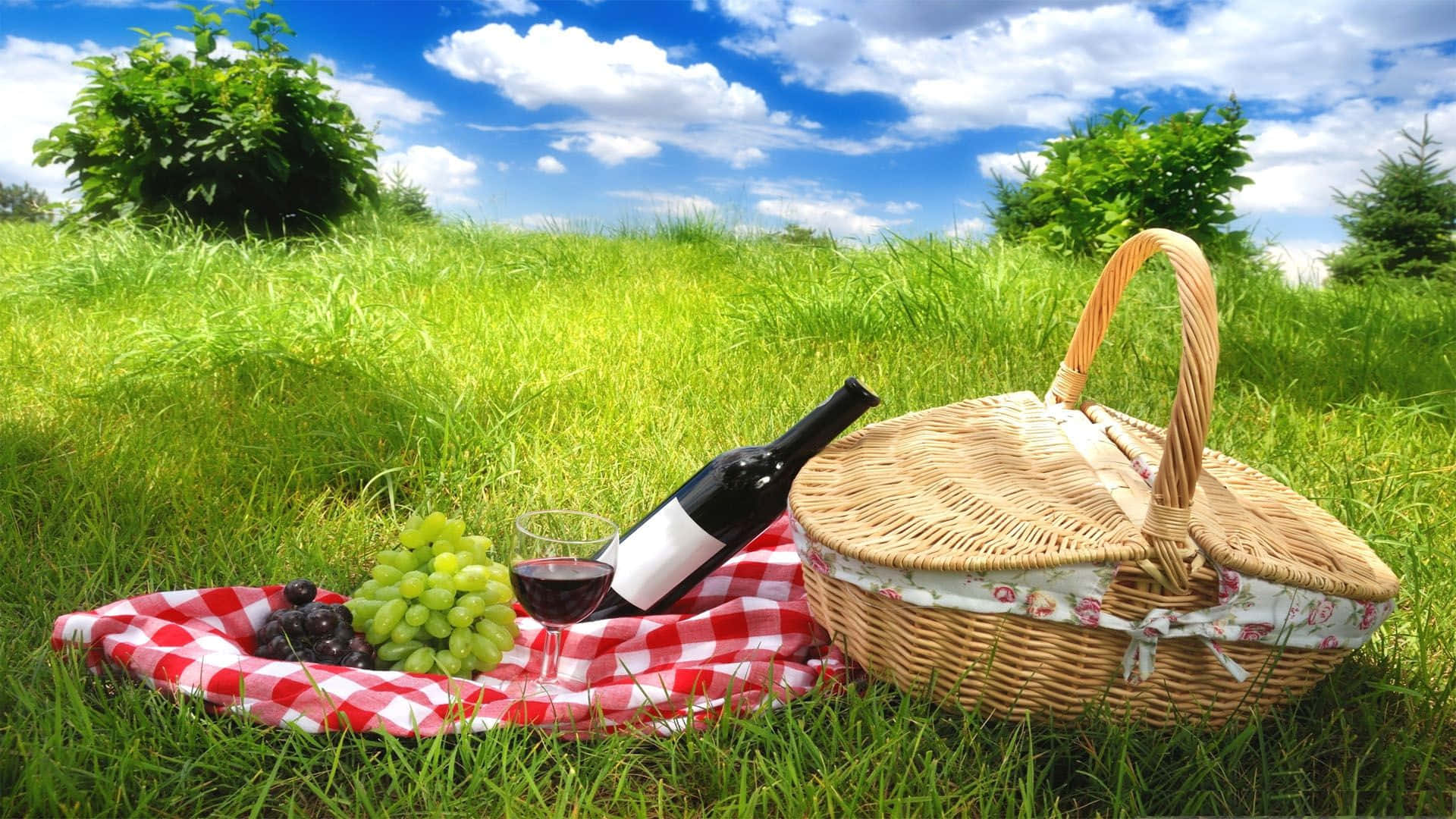 Summer Picnic With Wine Wallpaper