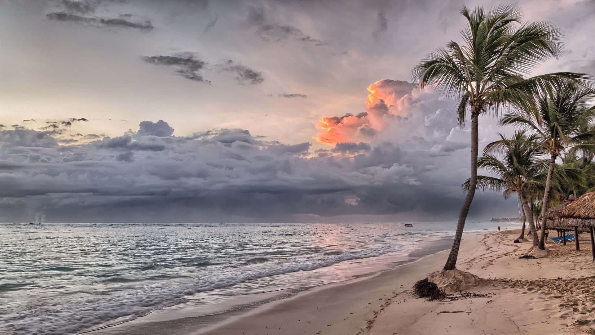 En strand med palmer og skyer i himlen.