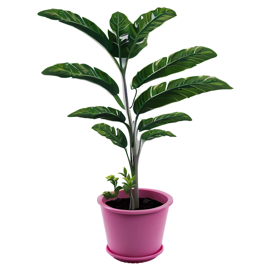 Summer Plant Png Qdo PNG