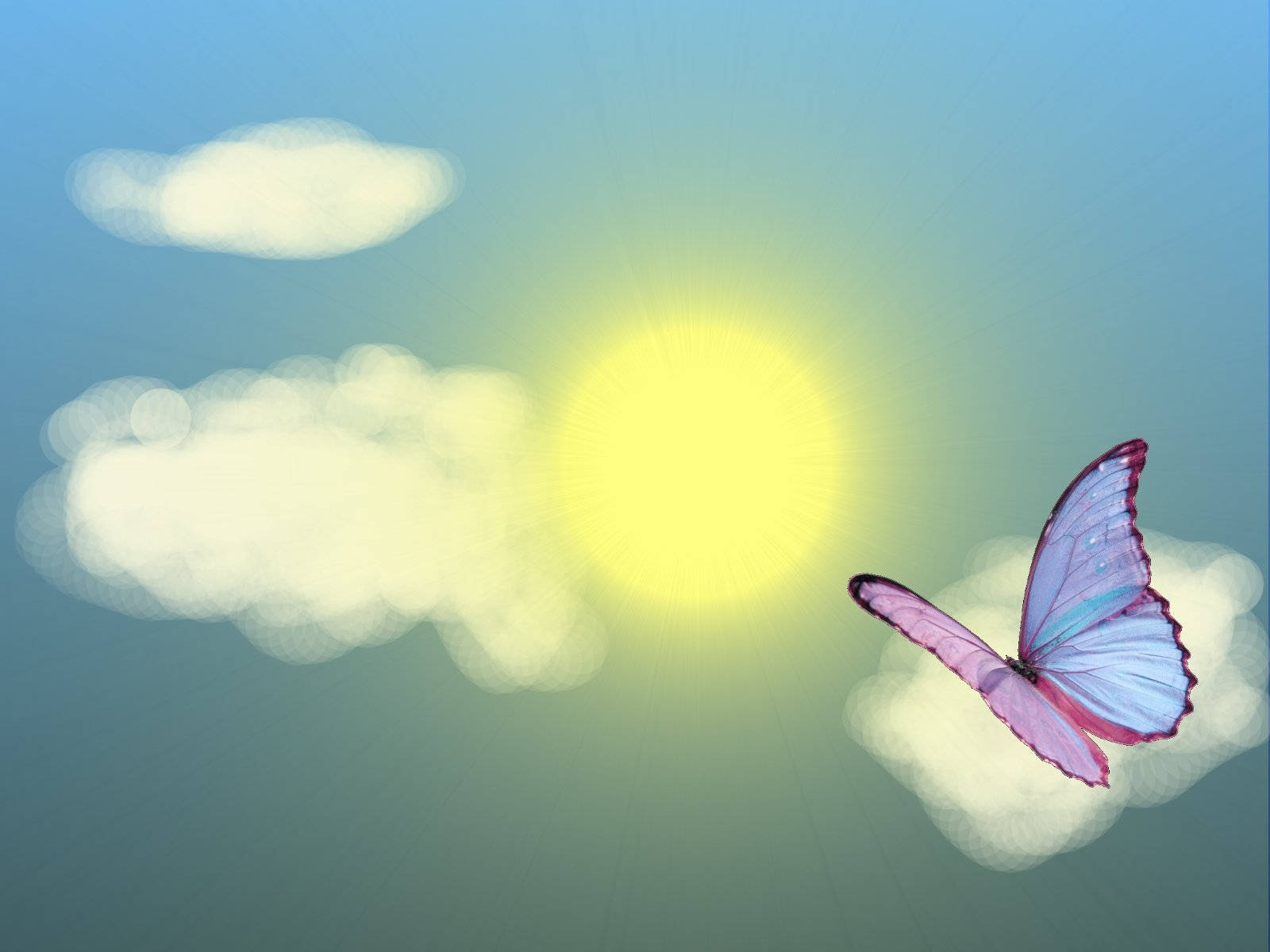 Summer Season Butterfly Graphic Wallpaper