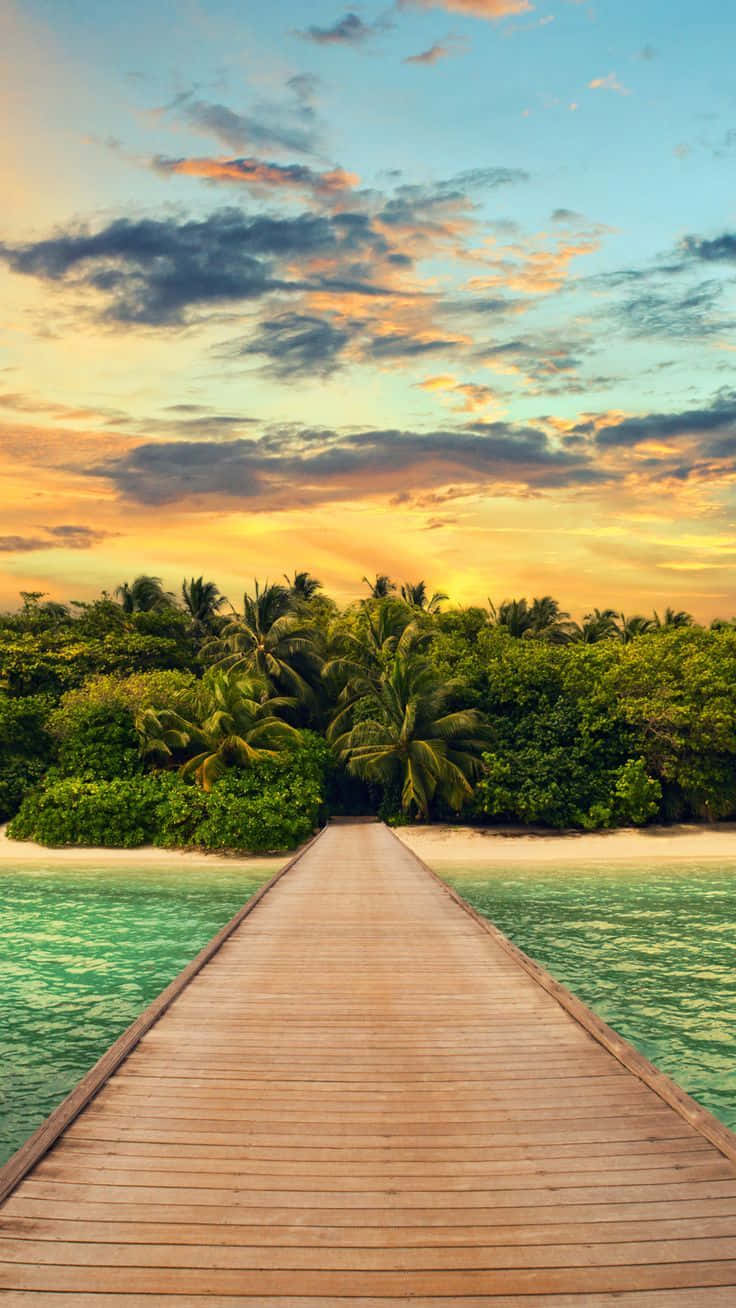 Summer Time Iphone With A Wooden Bridge Wallpaper