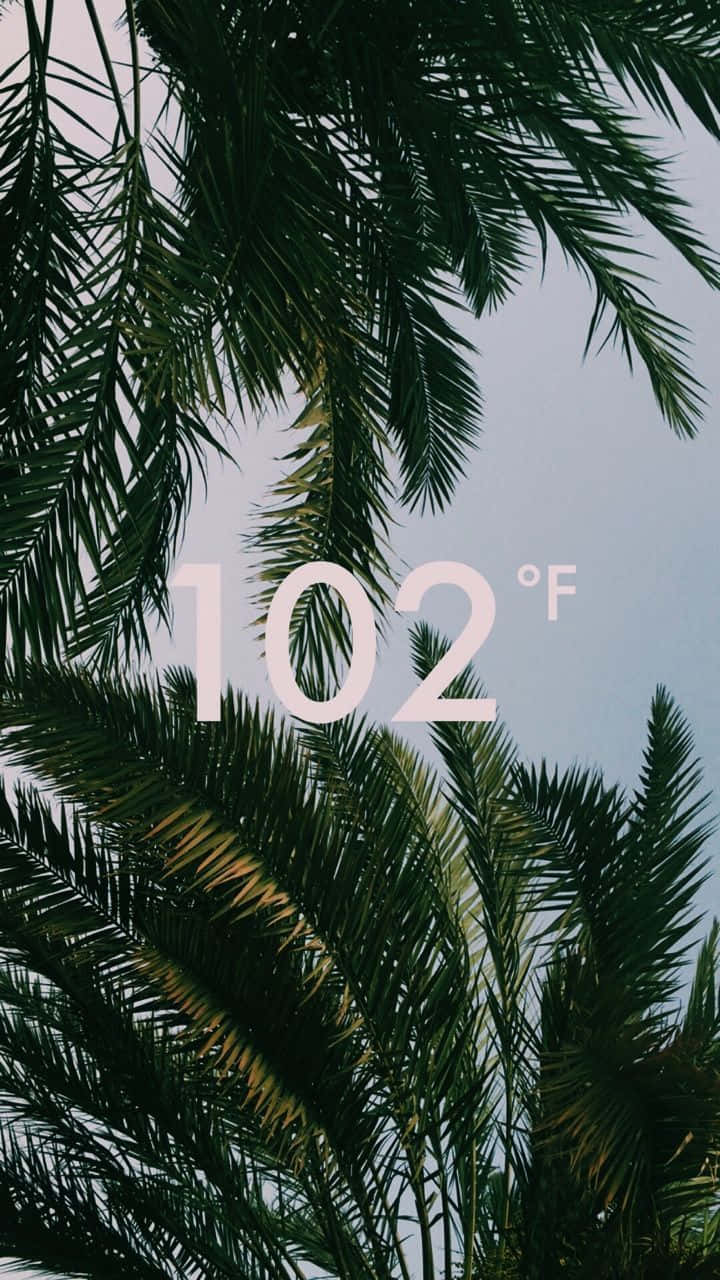 Summer Time Iphone With Temperature Wallpaper