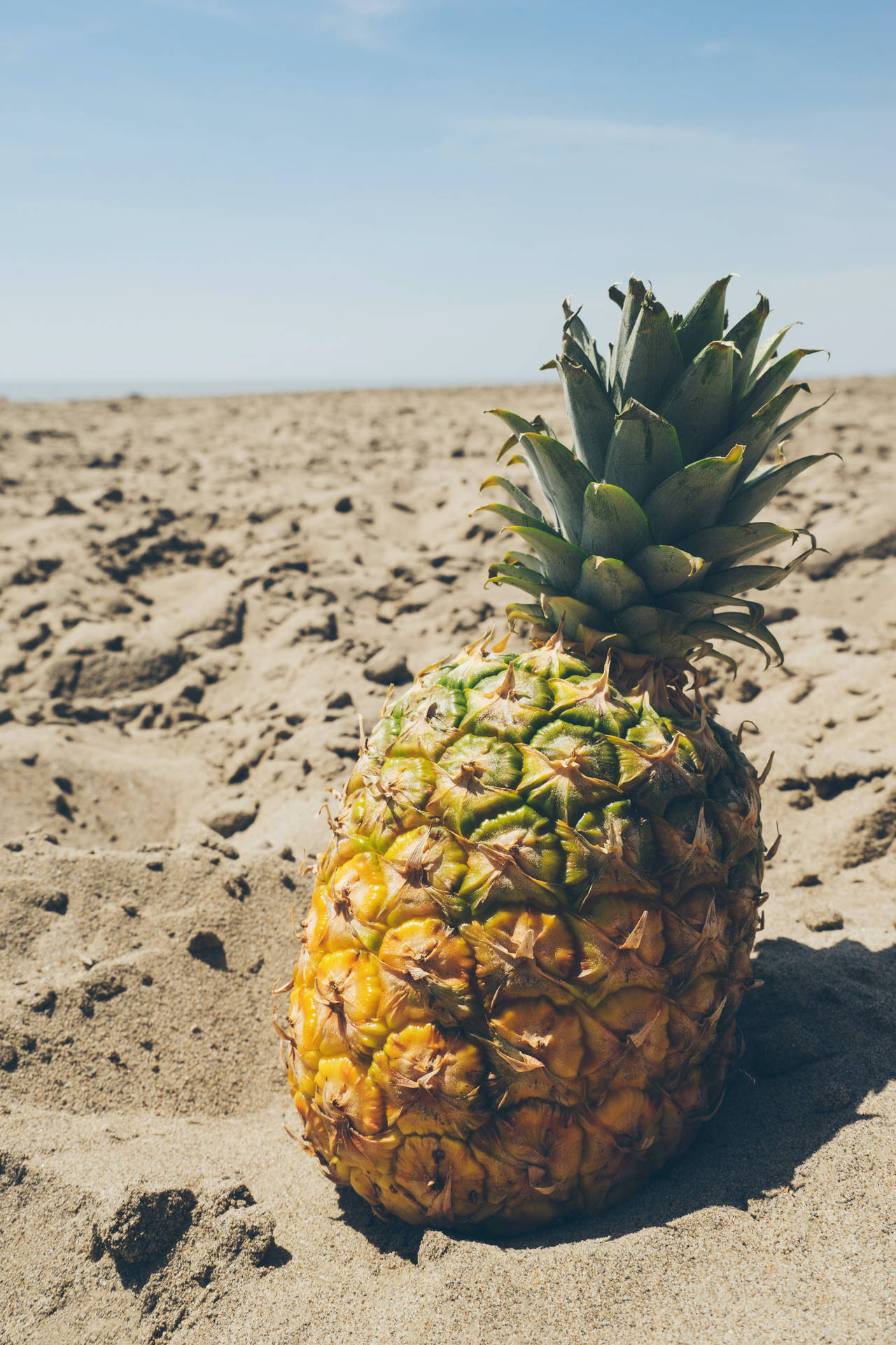 Pineapplede Vibrações De Verão. Papel de Parede