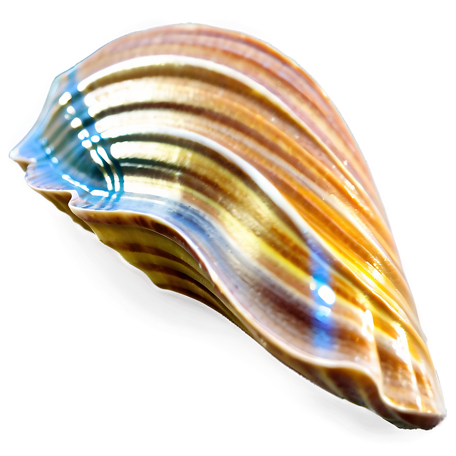 Summer Vibes Seashell Png 06252024 PNG