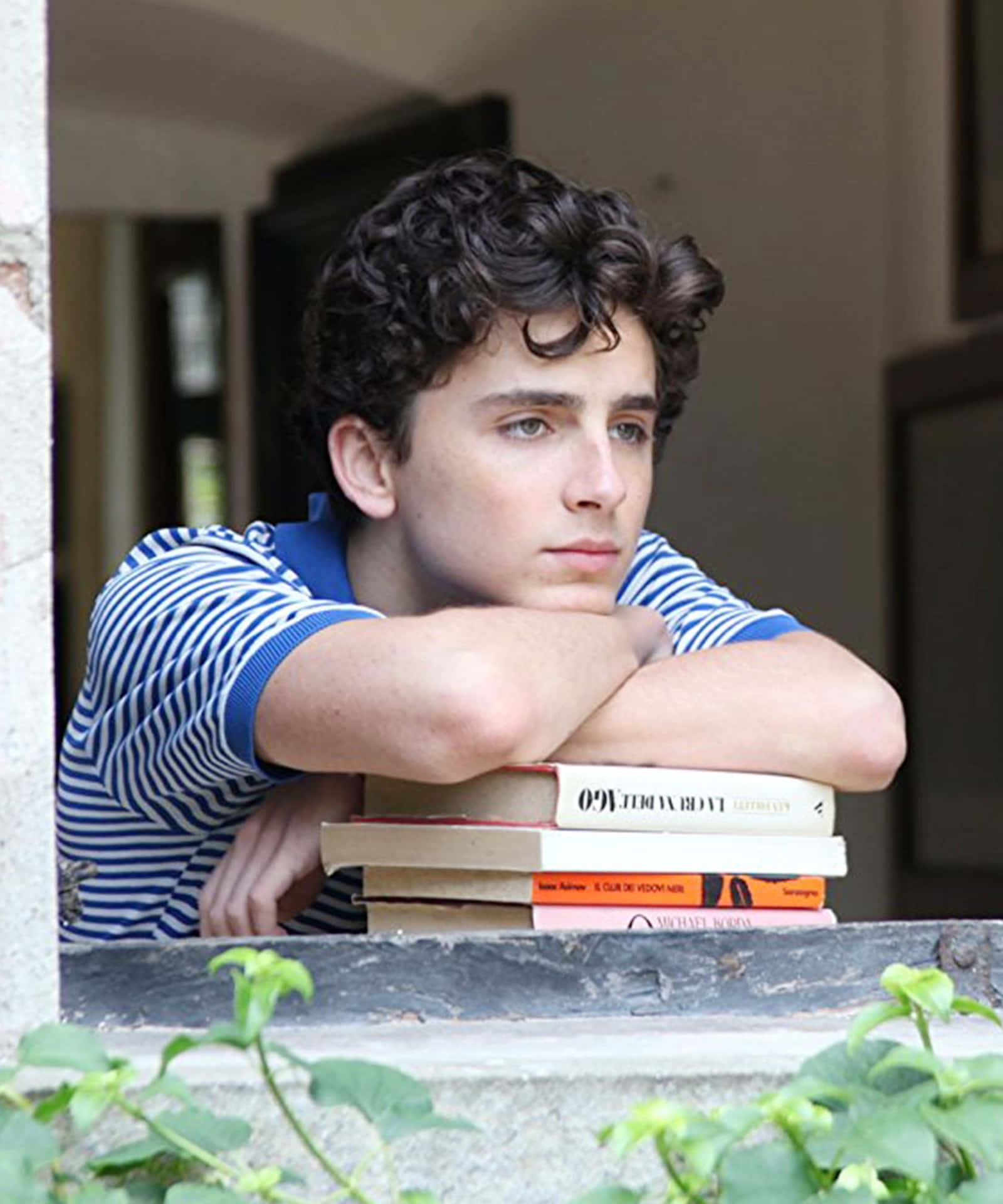"summertime Romance - Call Me By Your Name" Wallpaper