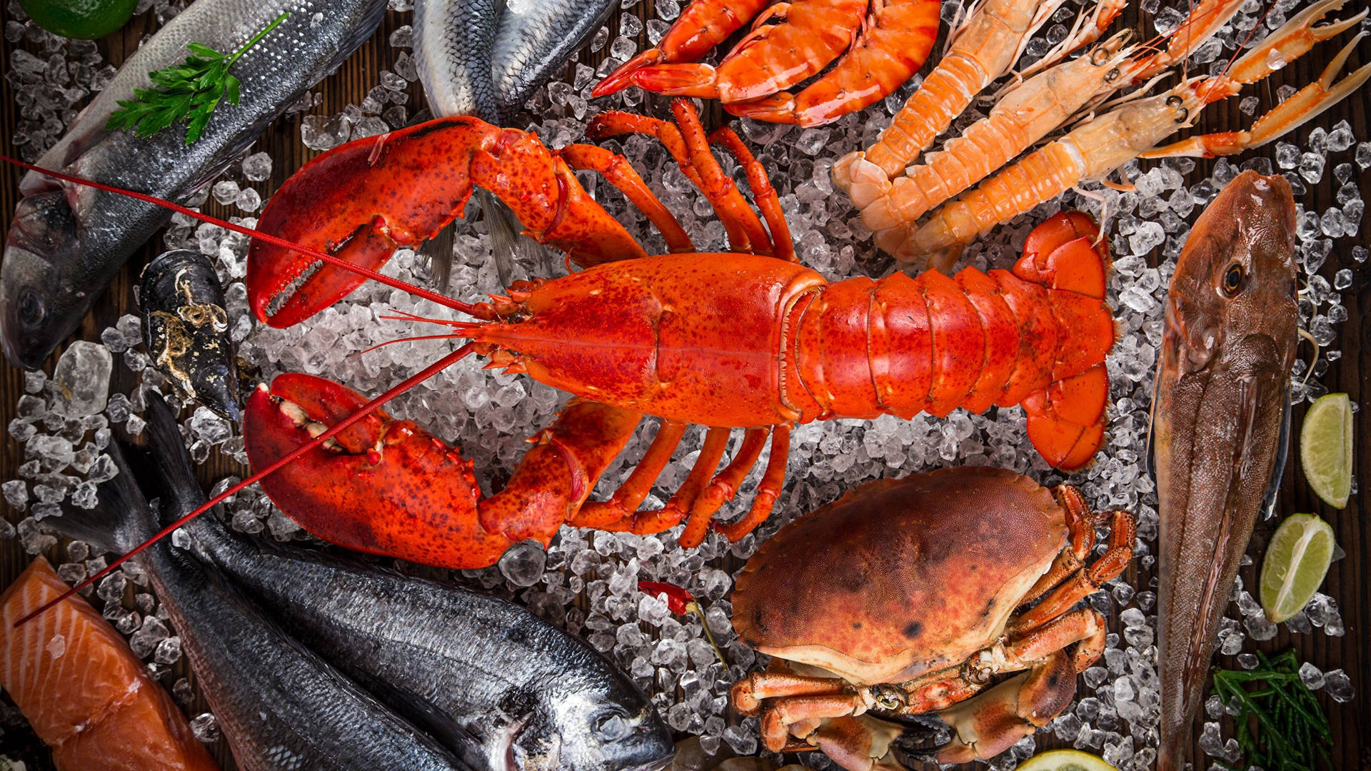 Sumptuous Lobster And Seafood Wallpaper