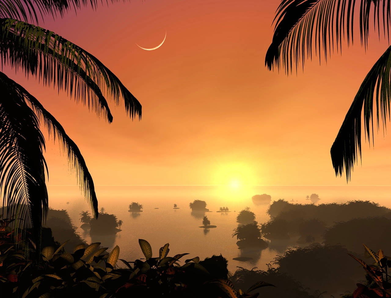 Sun And Moon With Palm Trees Wallpaper