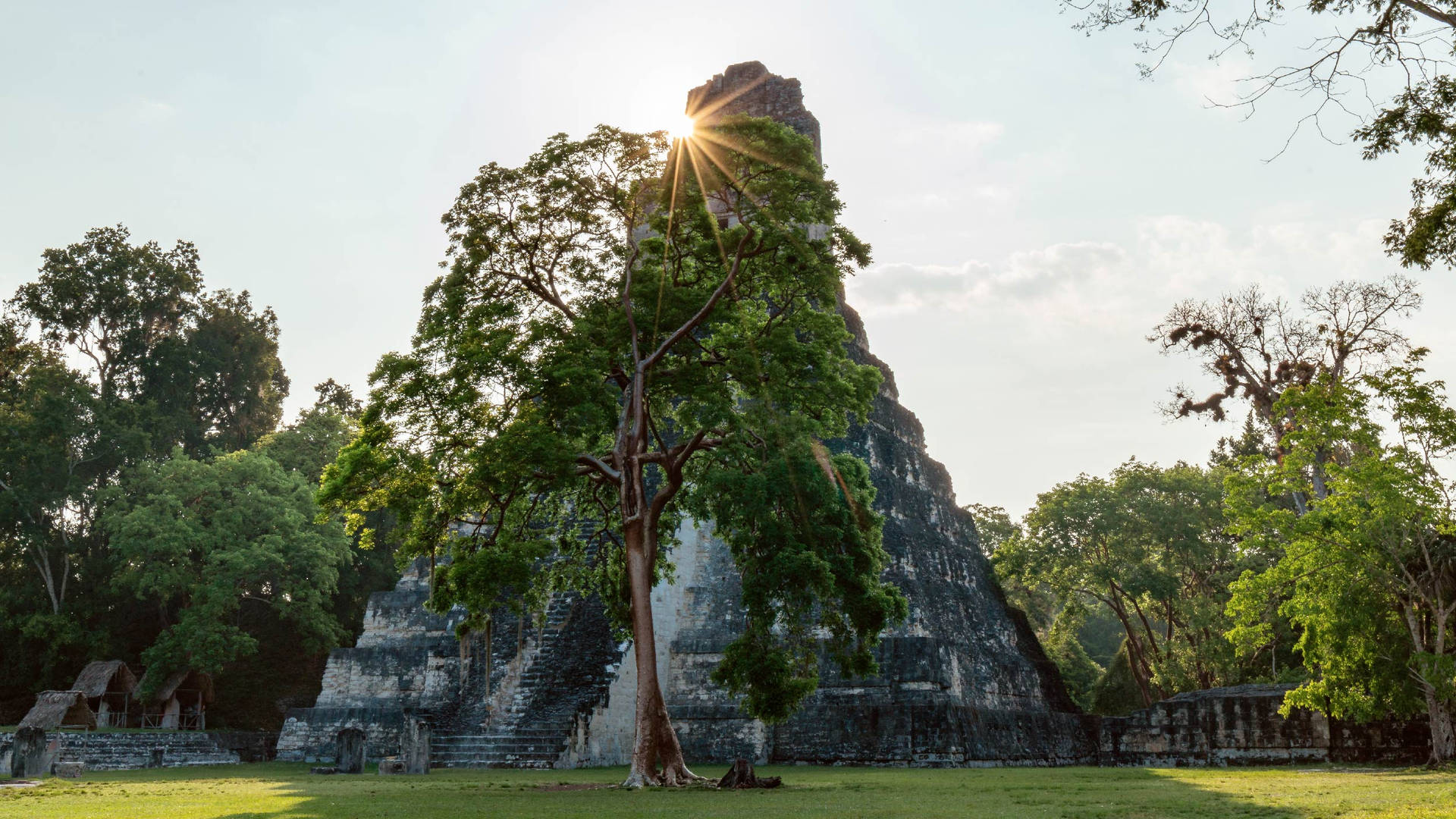 Sun Behind Tikal Pyramid Wallpaper