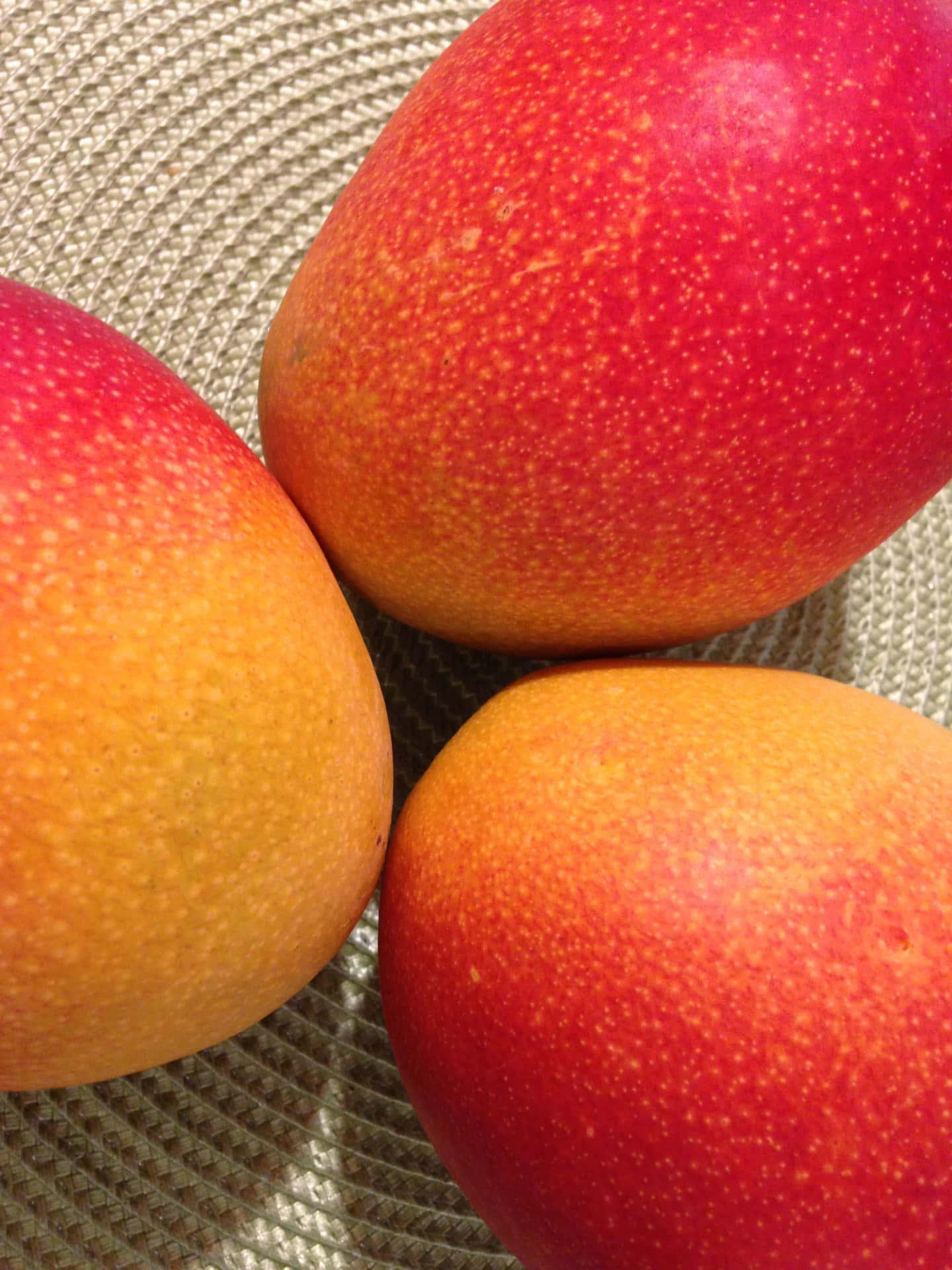 Sun-kissed Tropical Mango Paradise