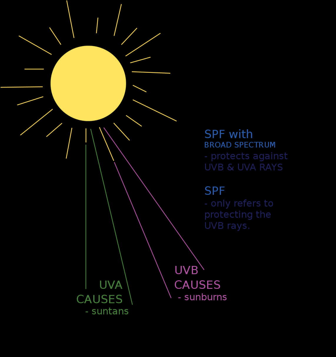 Sun Protection Factors Explained PNG