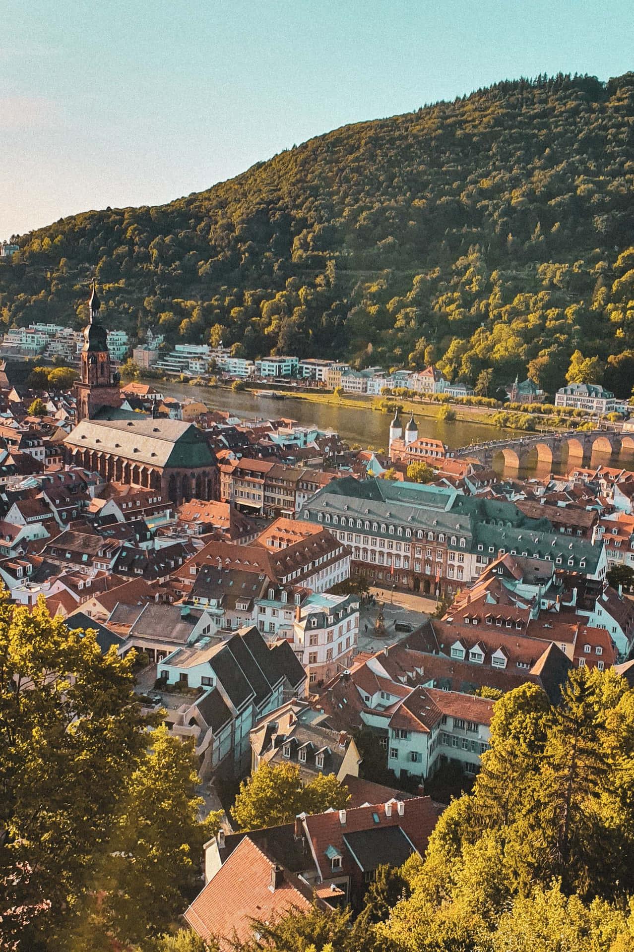 Sun Rays On Heidelberg Castle Wallpaper