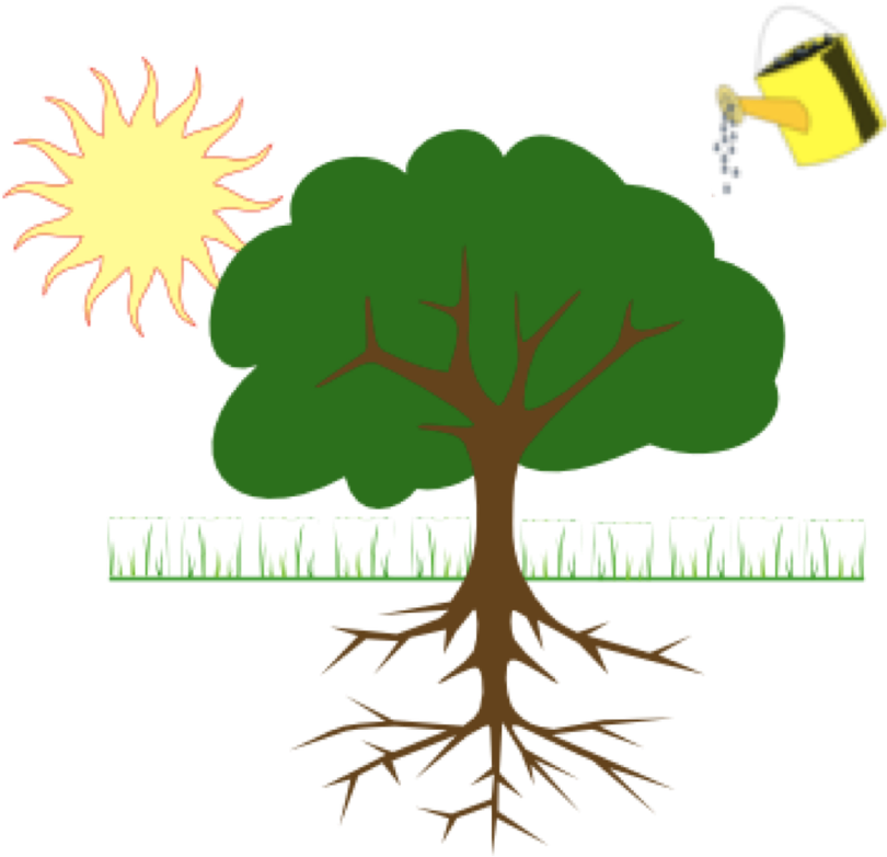 Sun Tree Watering Can Illustration PNG