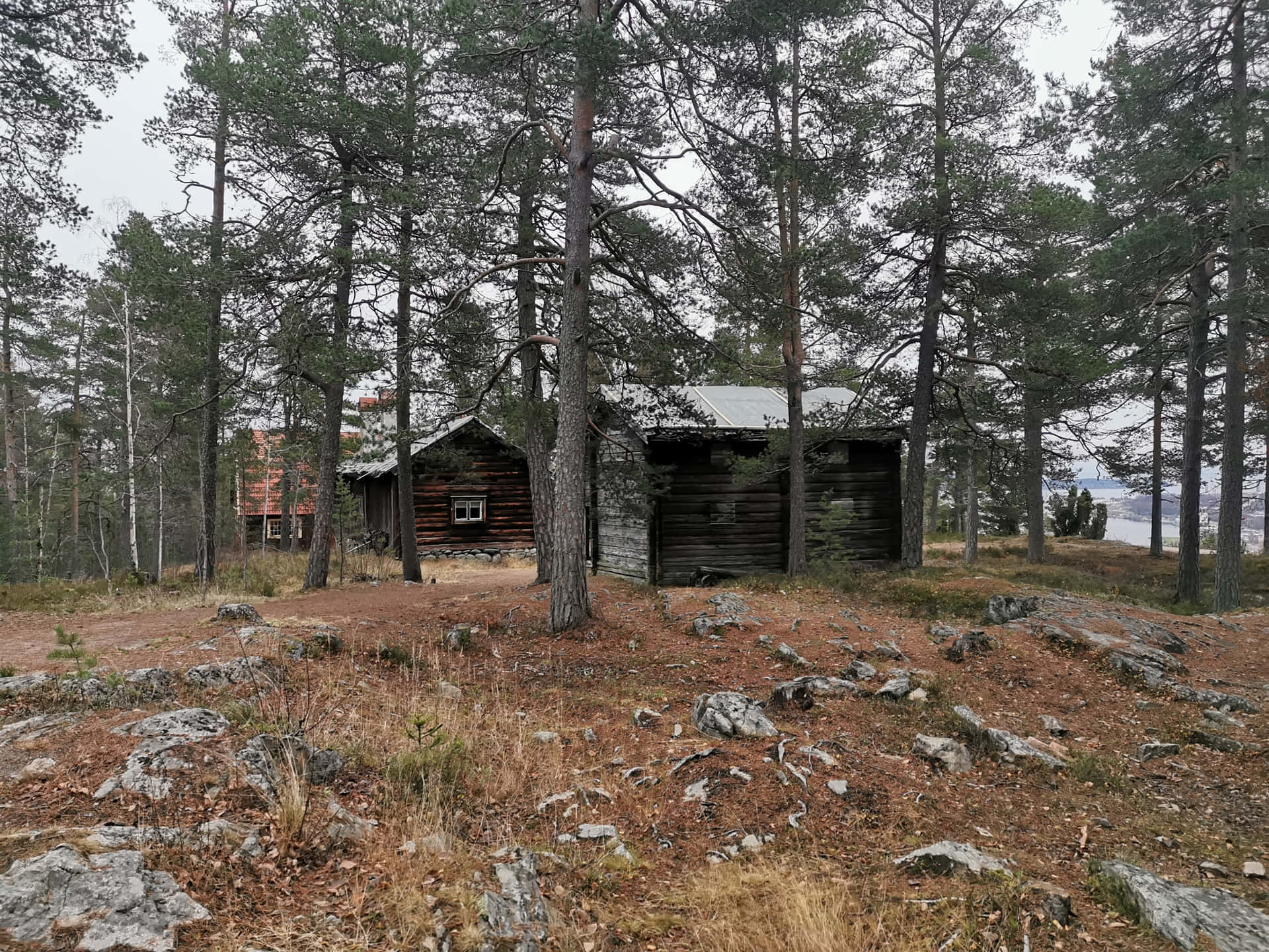 Sundsvall Forest Cabin Sweden Wallpaper