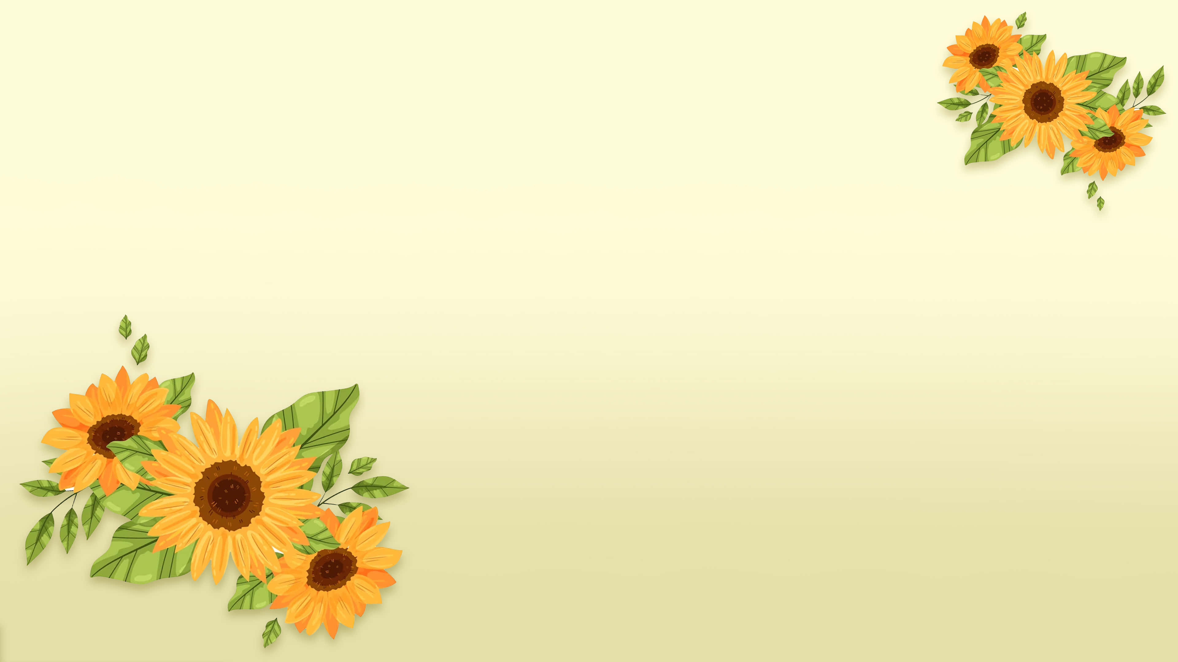 Sunflower 3840 X 2160 Background