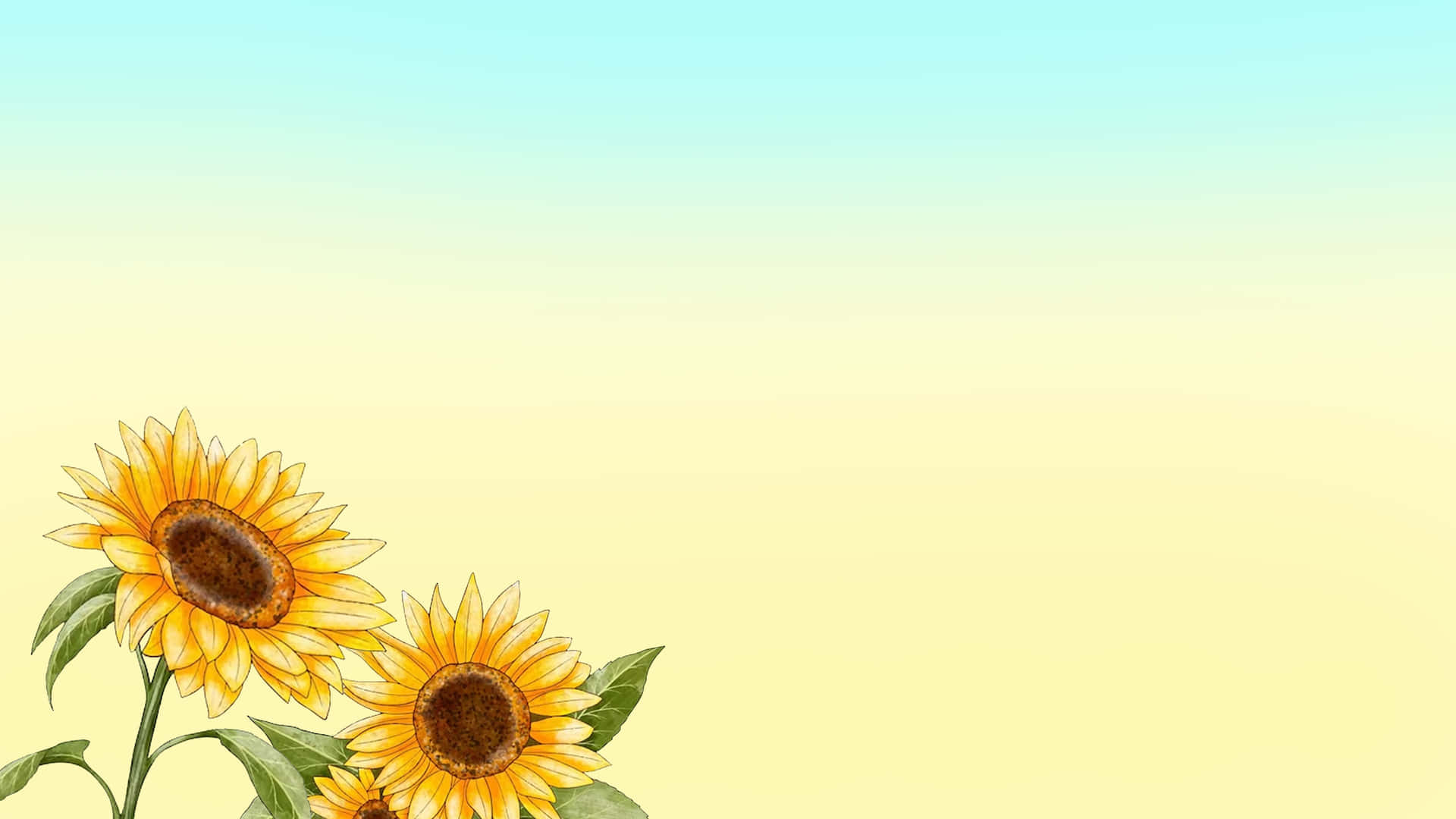 Sunflower 3840 X 2160 Background