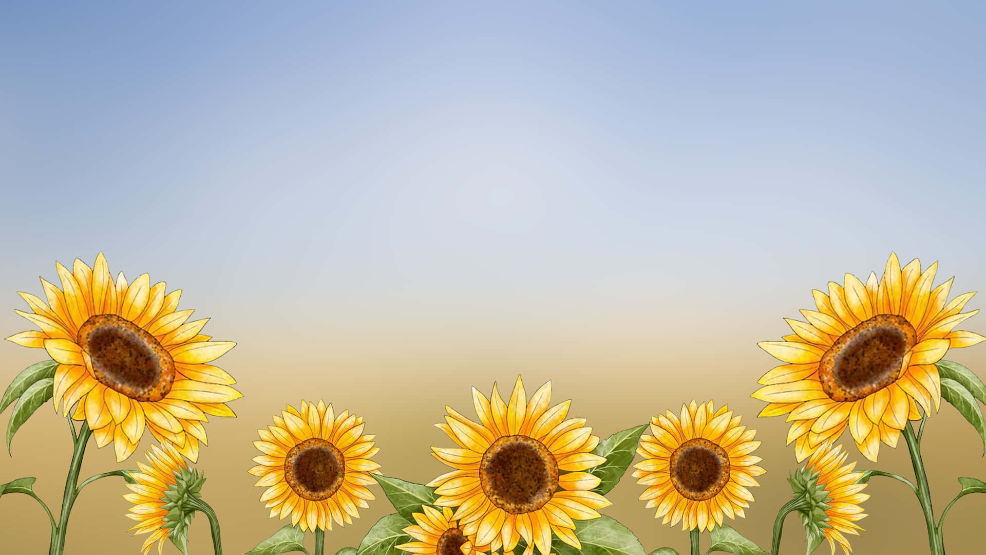 Sunflower 3840 X 2160 Background