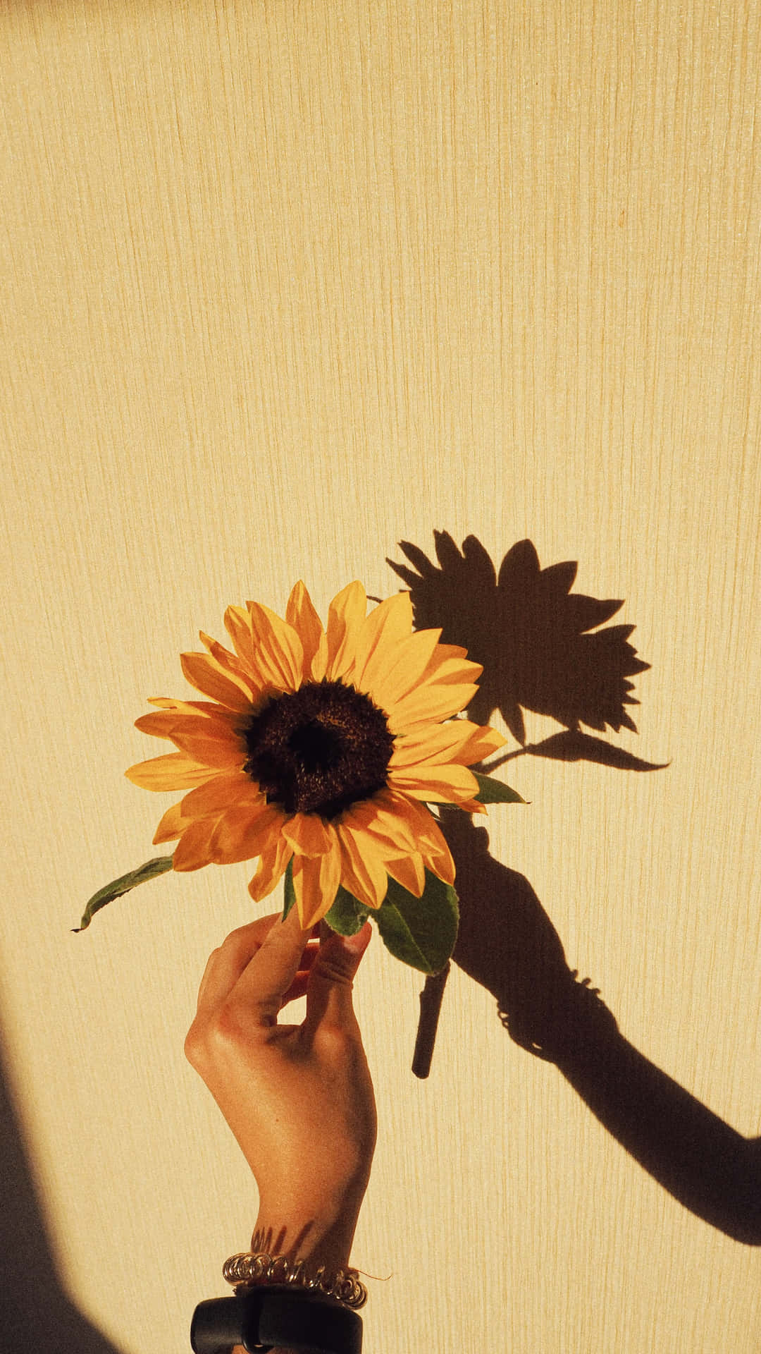 A Person Holding A Sunflower Wallpaper