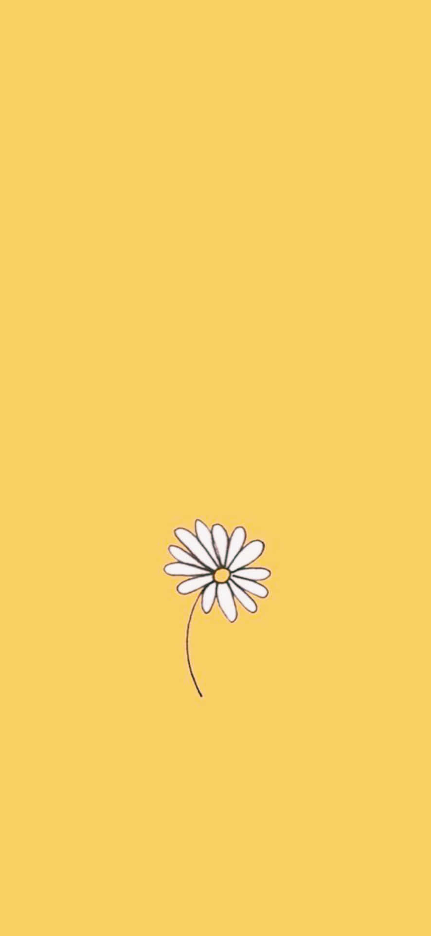 Verschöneredie Schönheit Deines Iphones Mit Diesem Inspirierenden Ästhetischen Sonnenblumen-hintergrundbild. Wallpaper