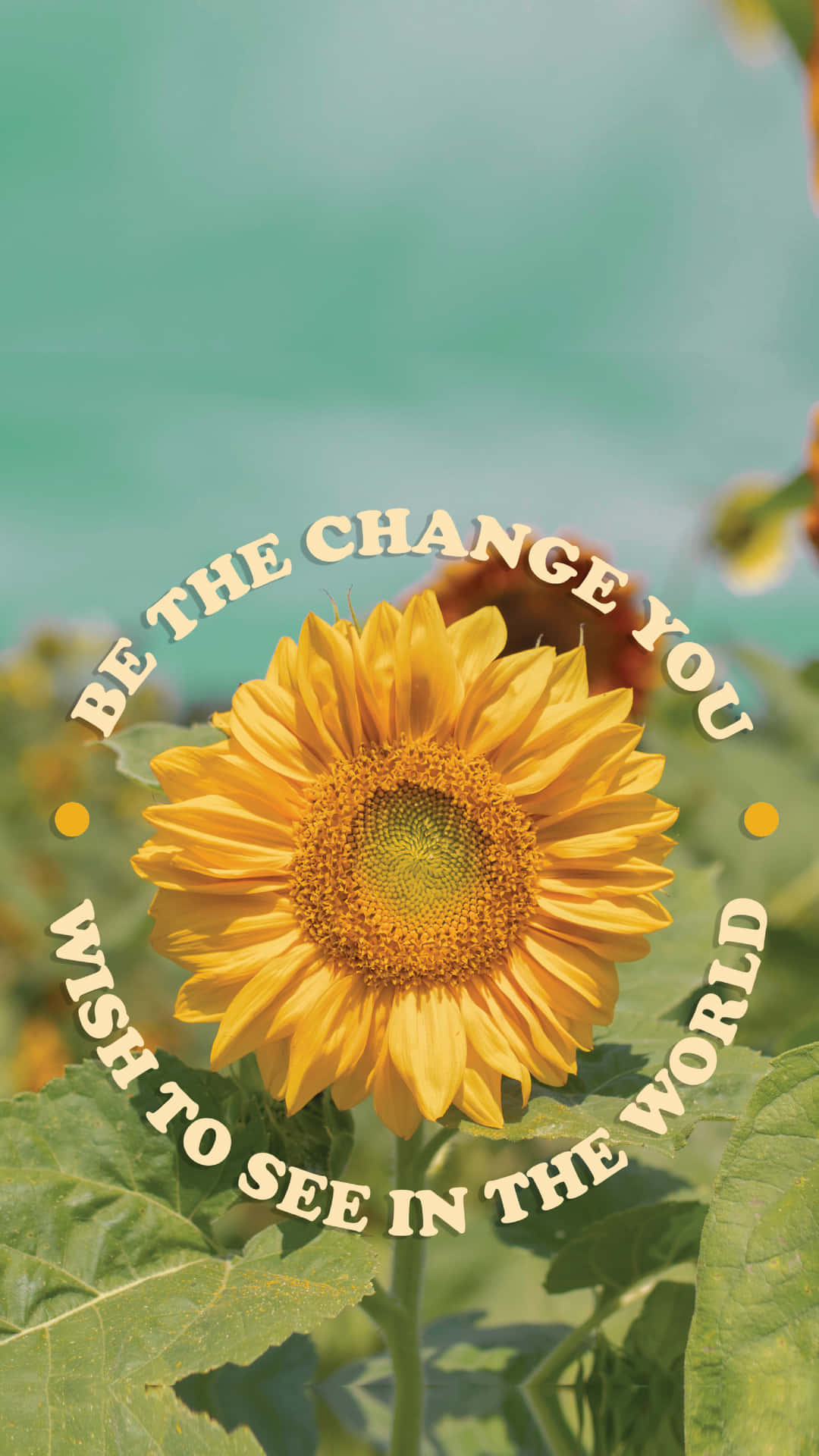 Be The Change Sunflower Aesthetic Iphone Wallpaper