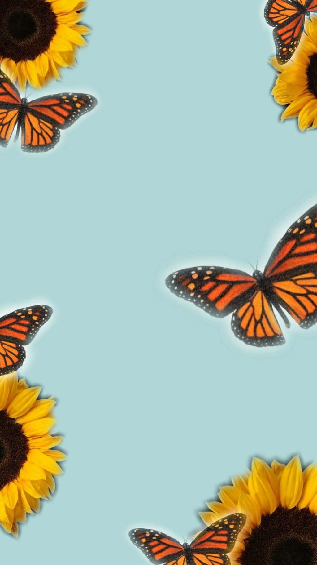 Butterflies With A Sunflower Aesthetic Iphone Wallpaper