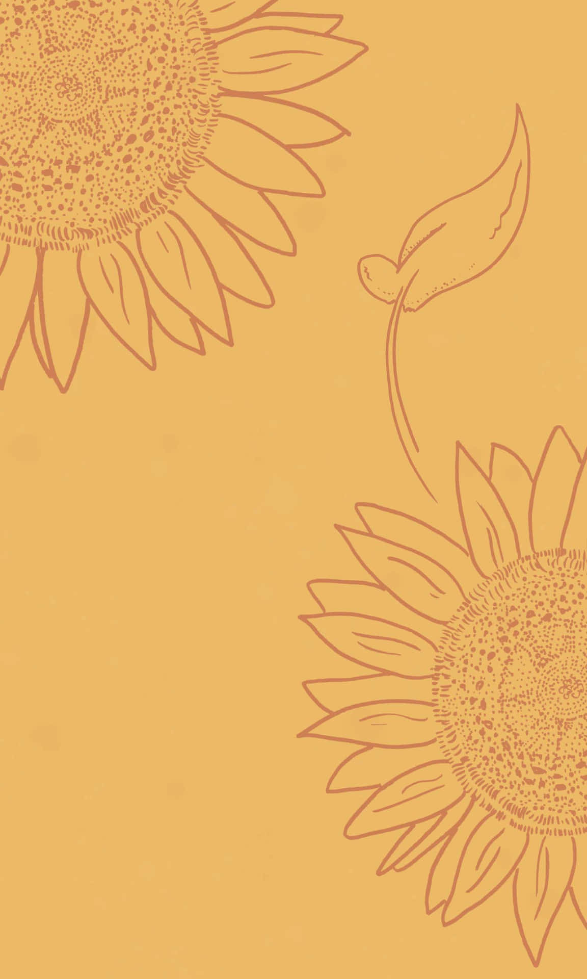 Aproveitea Beleza Dos Girassóis Com O Sunflower Aesthetic Iphone. Papel de Parede