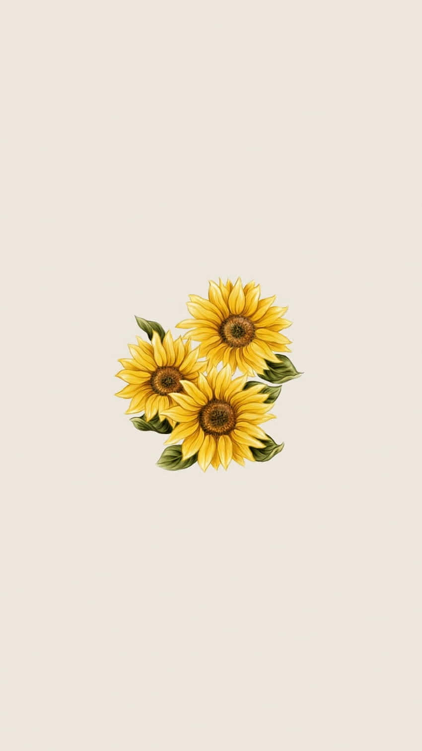 "Embrace the brightness of the sun with this beautiful sunflower aesthetic iPhone wallpaper." Wallpaper