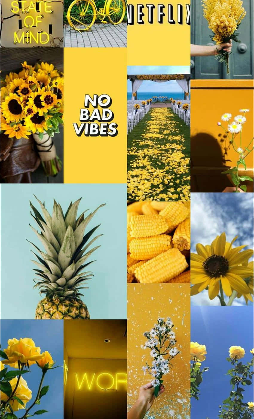 En collage af billeder med solsikker og blomster. Wallpaper