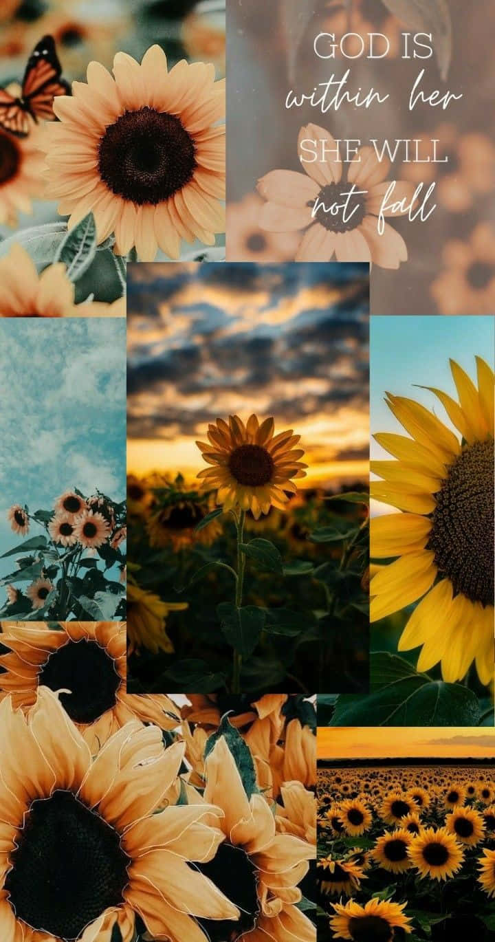 Einecollage Aus Sonnenblumen Und Schmetterlingen Wallpaper