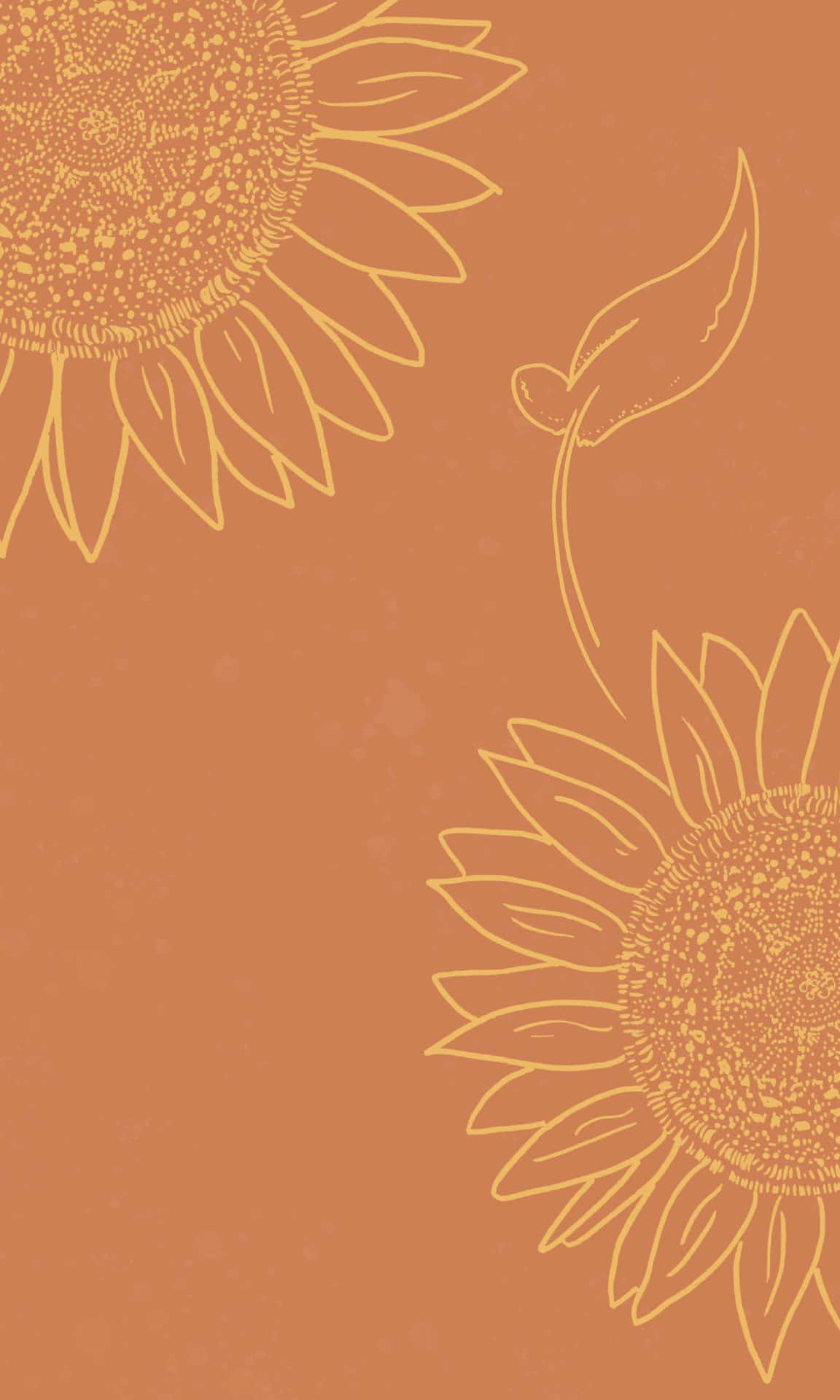 Peach Colored Sunflower Aesthetic Iphone Wallpaper