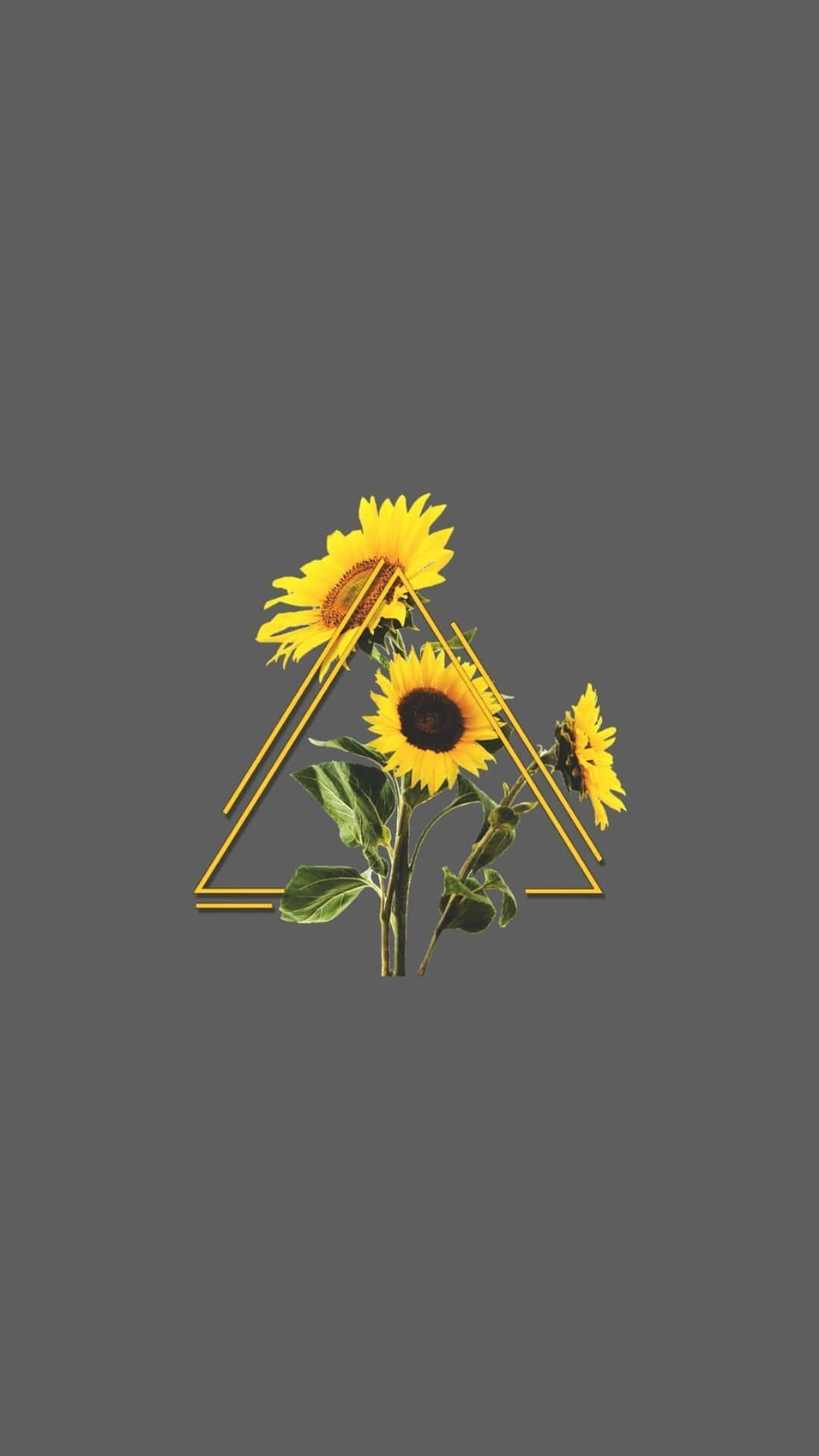 Triangle With A Sunflower Aesthetic Iphone Wallpaper