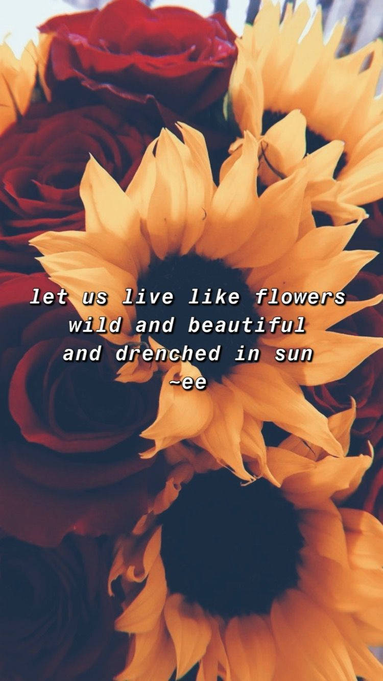 Sunflower And Roses Life Quotes Background