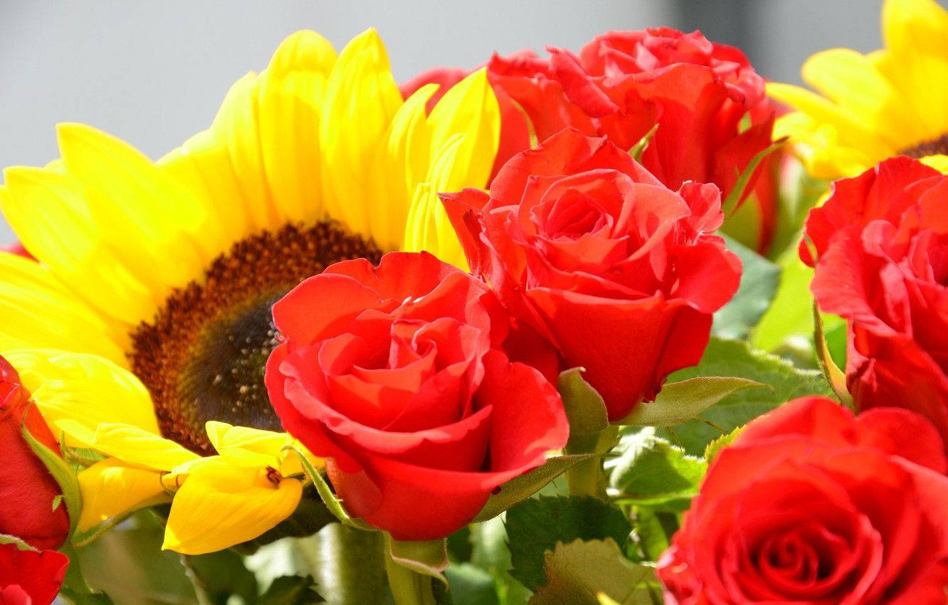 Dieschönheit Von Sonnenblumen Und Rosen Wallpaper