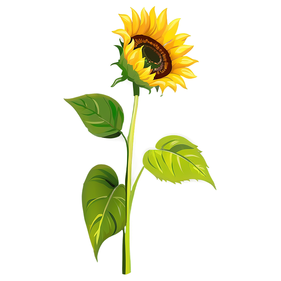 Sunflower Art Transparent Png 84 PNG