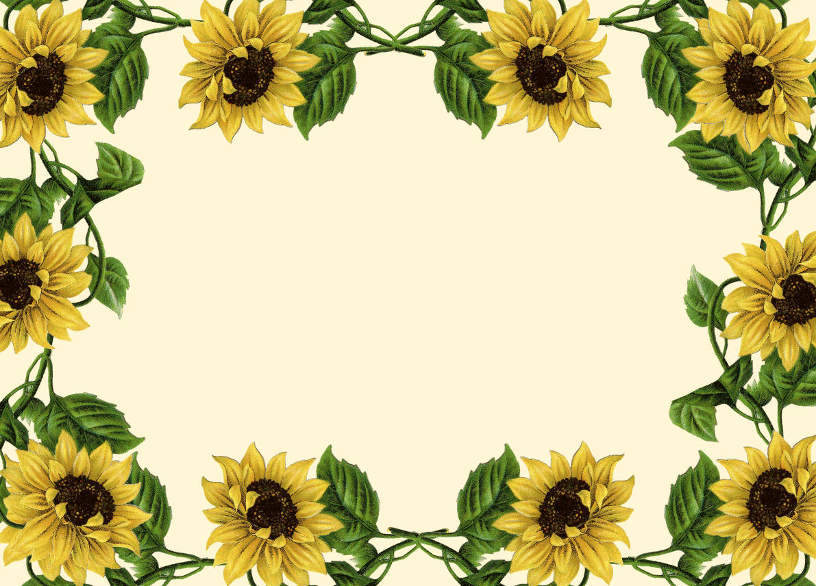 Sunflower Border Clipart Wallpaper