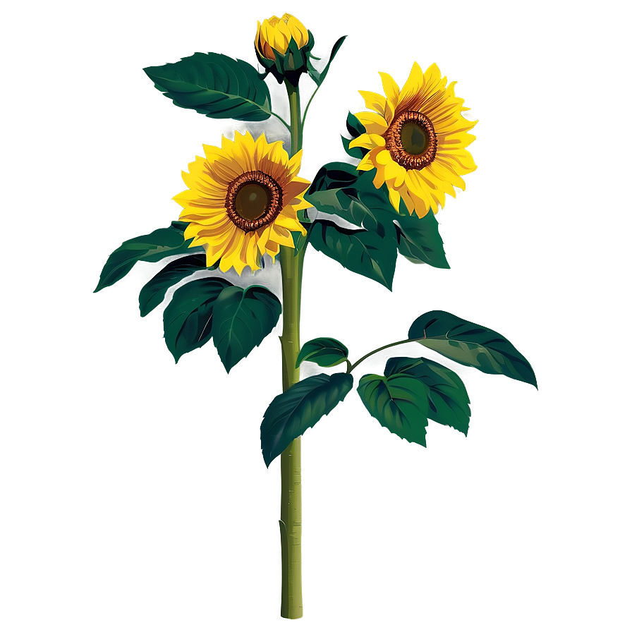 Sunflower Bush Png Pke20 PNG