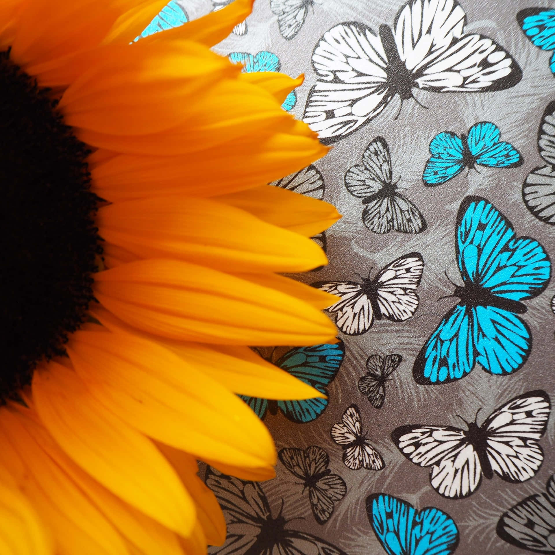 Sunflower Butterfly Pattern Contrast.jpg Wallpaper