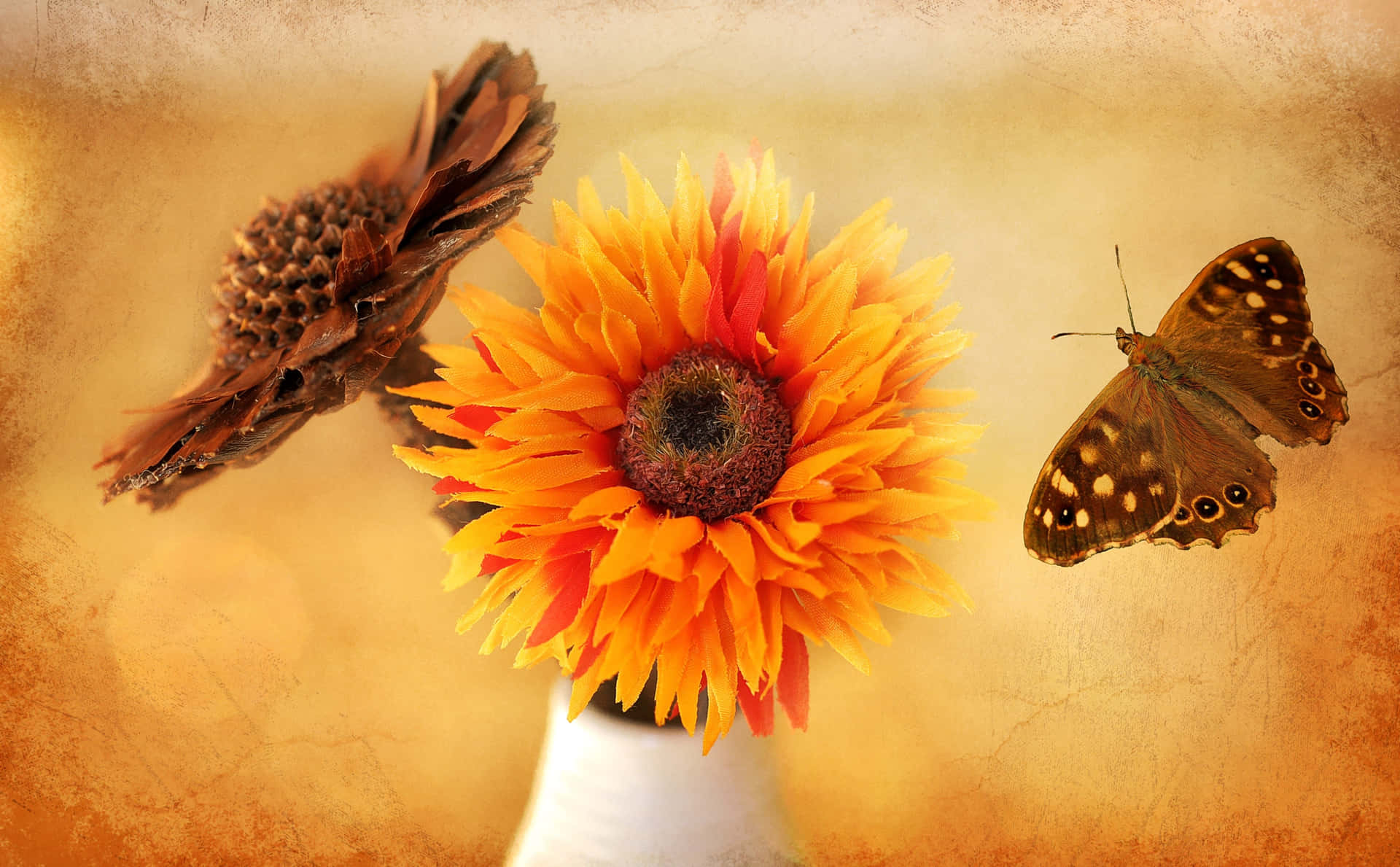 Sunflower Butterfly Pinecone Artwork Wallpaper