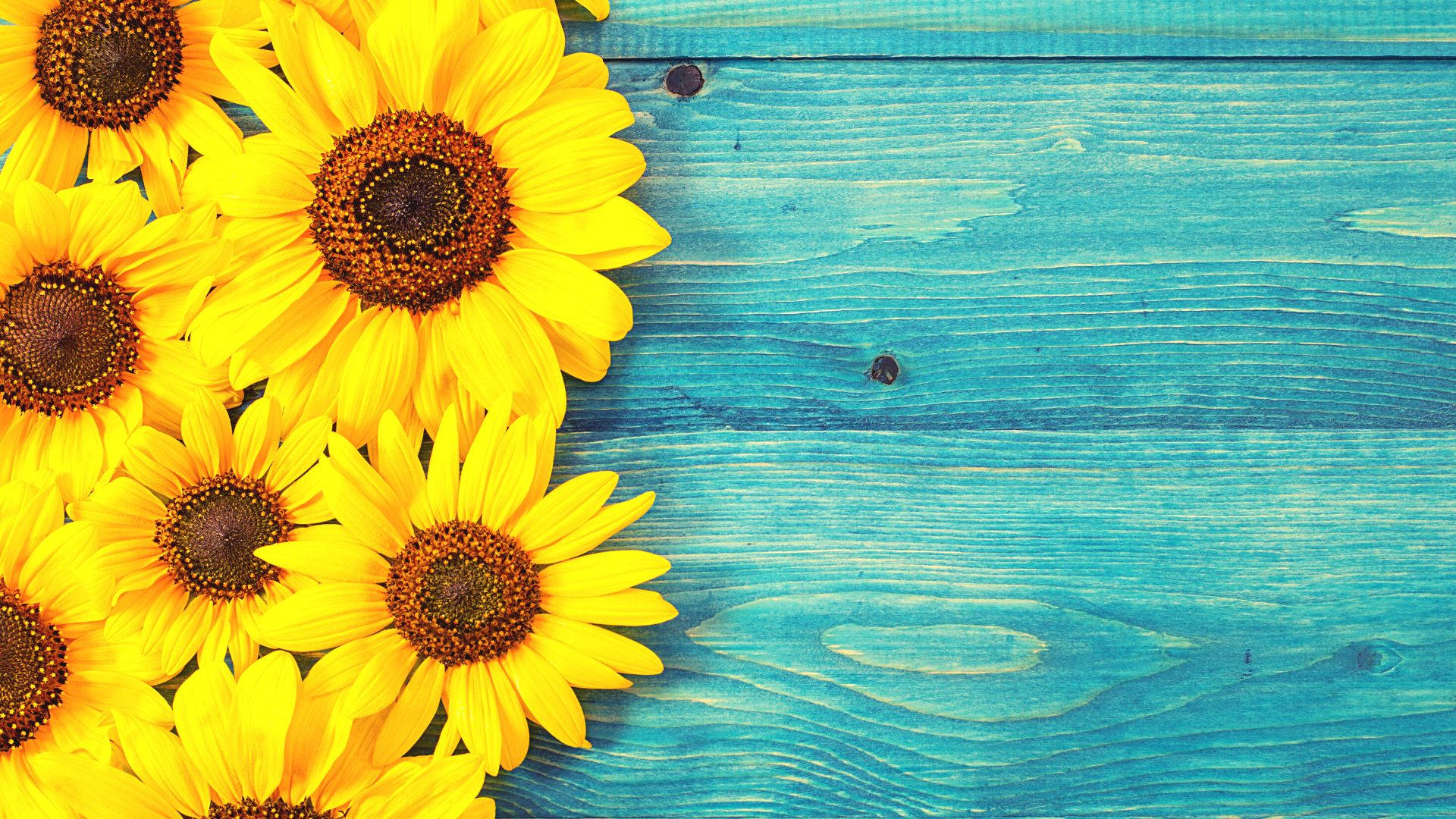 Sunflower Desktop Wooden Background Wallpaper