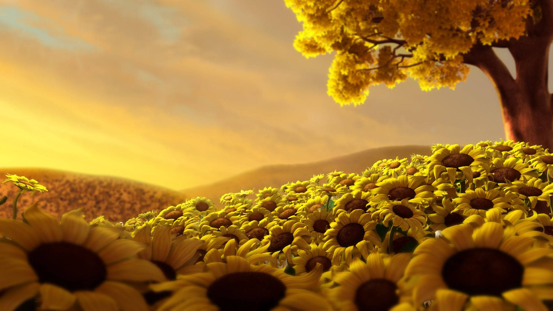 Sunflower Field And A Tree Wallpaper