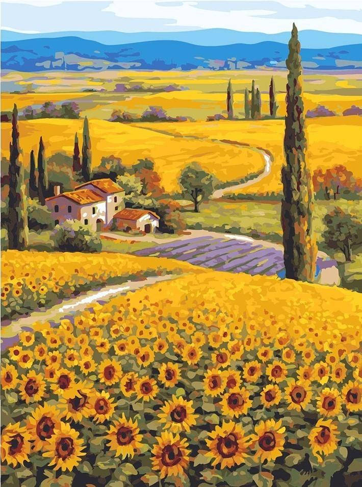 Sunflower Field Countryside Graphic Wallpaper