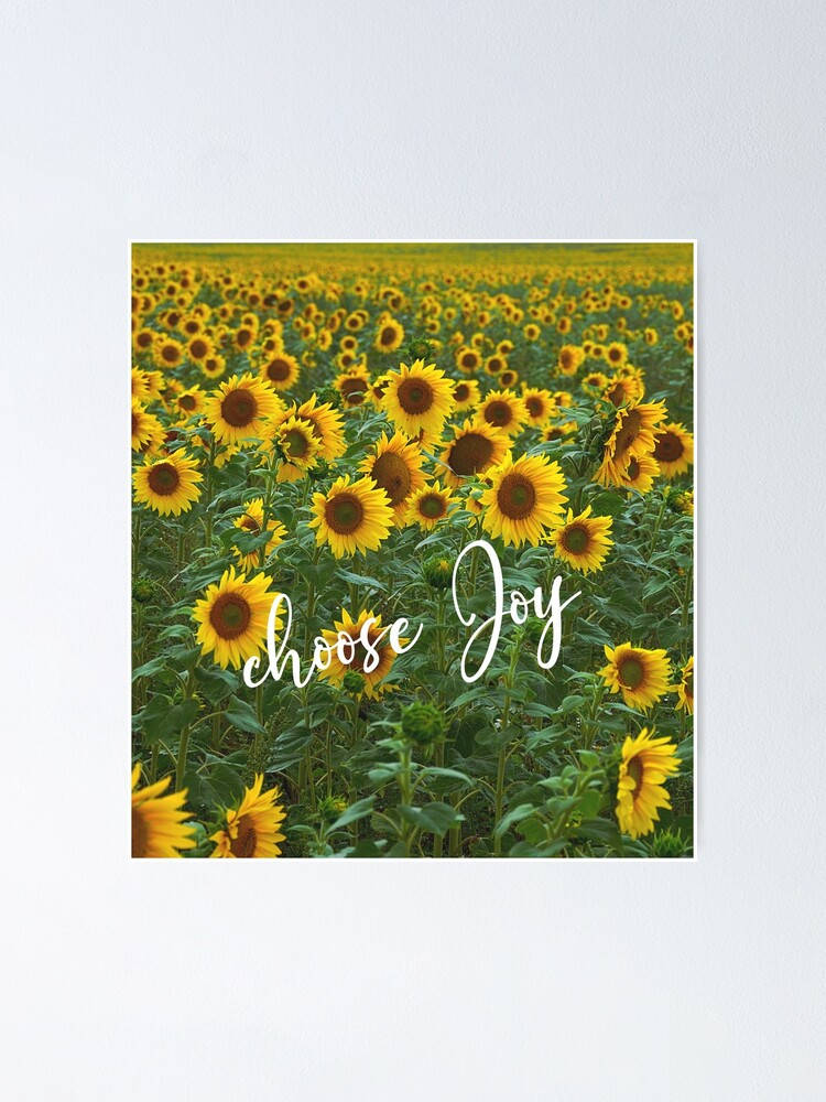 Sunflower Field Quote Choose Joy Wallpaper
