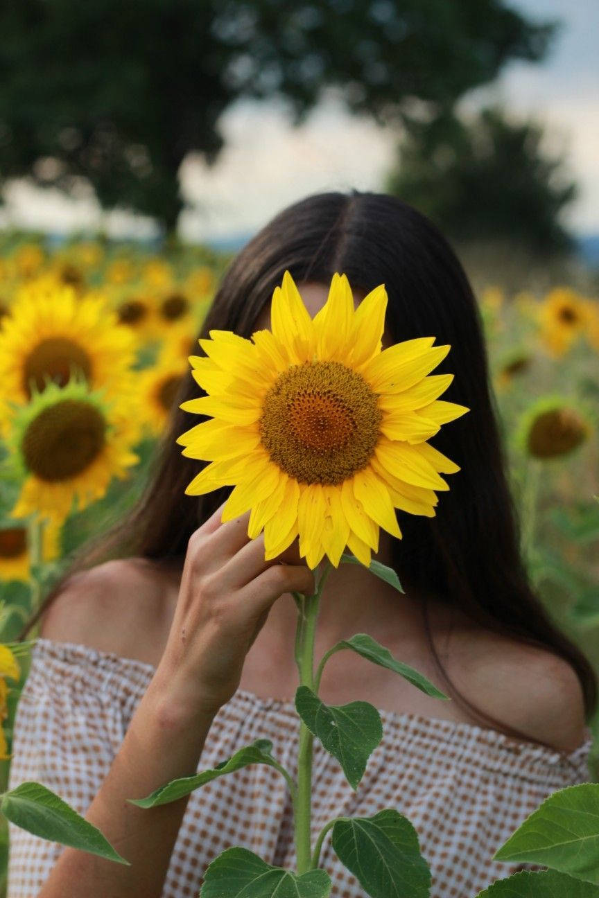 Sunflower Girl Aesthetic Background