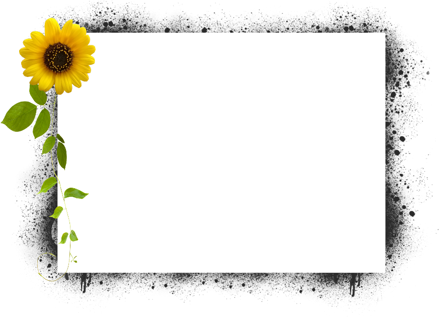 Sunflower Grunge Frame Design PNG