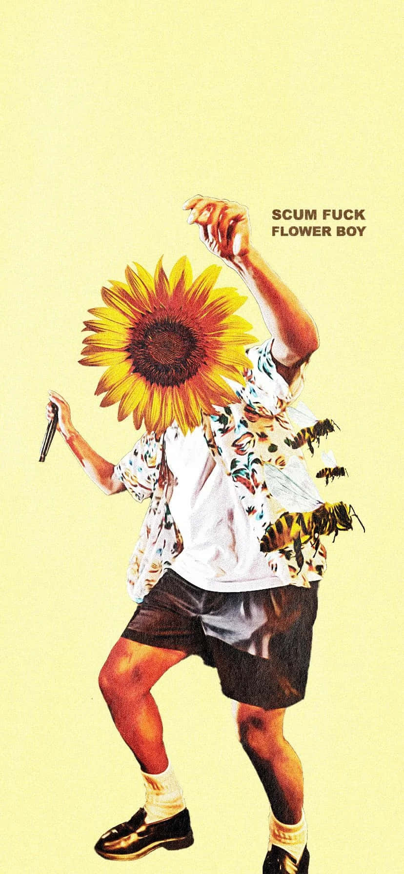 Sunflower Head Man Yellow Background Wallpaper