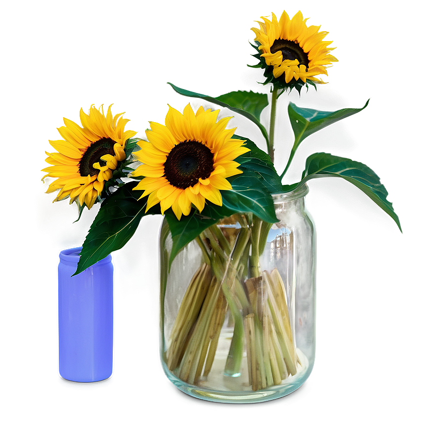 Sunflower In Vase Png Ric PNG